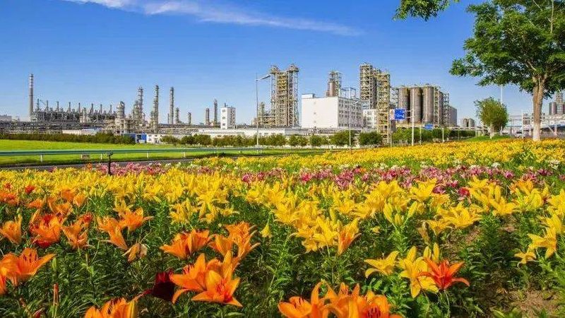 误区：低价等于实惠