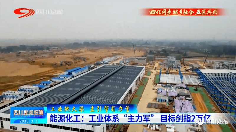 山东饲料级防腐剂厂家排名背后的考量因素**